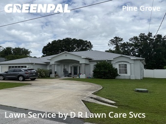 Yard Cutting nearby Palm Coast, FL, 