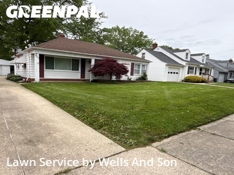Yard Cutting nearby Lyndhurst, OH, 