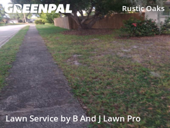 Grass Cuttingin Palm Harbor,34684,Yard Mowing by B And J Lawn Pro, work completed in Nov , 2025