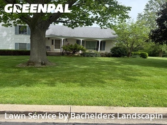 Yard Cutting nearby Ashland, OH, 