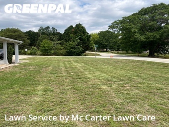 Yard Mowing nearby Campobello, SC, 