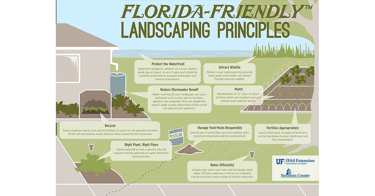 Florida-Friendly Landscaping Principles (An Illustrated Guide)