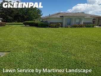 Grass Cut nearby Eustis, FL, 