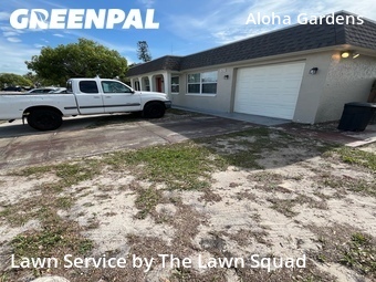 Grass Cutting nearby Holiday, FL, 