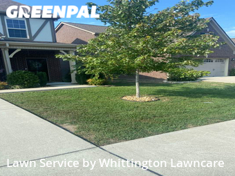 Lawn Care nearby Lebanon, TN, 