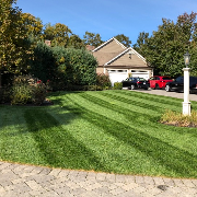 the-yard-cutting-businesses-in-Boston-MA