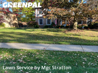 Backyard Mowing in North Royalton, 44133, Garden Trimming by Mgc Stratton, work completed in Nov , 2025