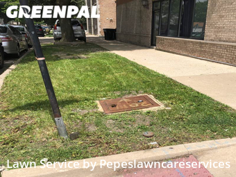 Yard Cutting nearby Chicago, IL, 