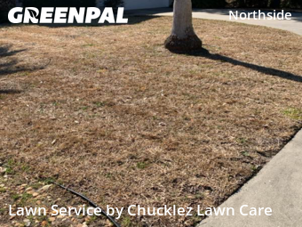 Grass Cut nearby Jacksonville, FL, 