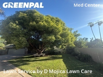 Yard Mowing nearby Sacramento, CA, 