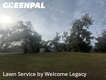 Lawn mowed in Ocala, 34474