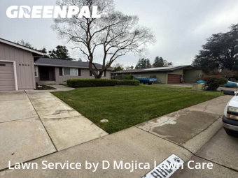 Landscaping Maintenance In Elk Grove,95624,Landscaping Installation by D Mojica Lawn Care, work completed in Jan , 2026