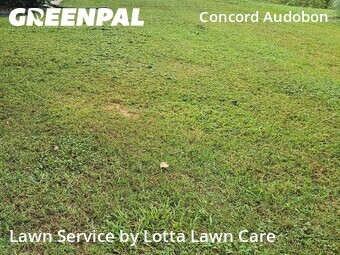 Lawn Cut nearby Chattanooga, TN, 