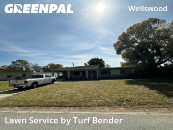 Grass Cut nearby Tampa, FL, 