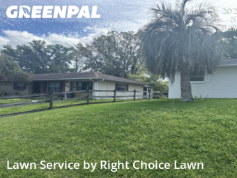 Lawn Cut nearby Lady Lake, FL, 