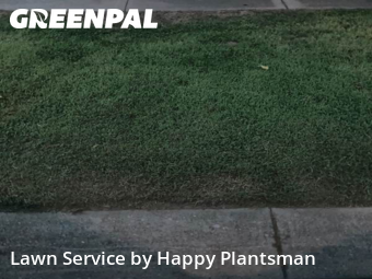 Grass Services in Washington Township, 45458, Yard Cutting by Happy Plantsman, work completed in Nov , 2025