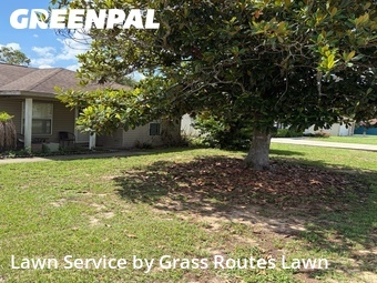 Yard Cutting nearby Ocala, FL, 