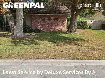 Landscaping Cleanup In Coral Springs,33065,Landscape Design by Deluxe Services By A, work completed in Apr , 2026