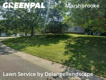 Lawn Mow nearby Matthews, NC, 