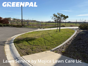Work completed by residential-lawn-cutting-businesses-in-Roseville-CA