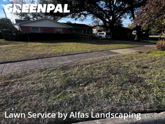 Yard Cuttingin Richardson,75080,Lawn Cutting by Alfas Landscaping, work completed in Dec , 2025