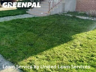 Lawn Cut nearby Chicago, IL, 