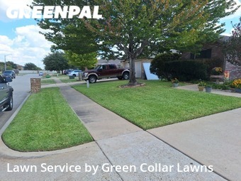 Yard Cutting nearby Grand Prairie, TX, 