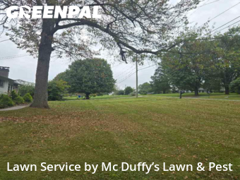 Lawn Mow nearby Knoxville, TN, 