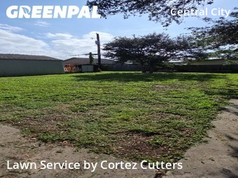 Yard Mowing nearby Corpus Christi, TX, 