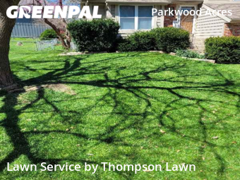 Grass Cut nearby Olathe, KS, 