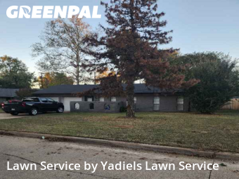 Lawn mowed in Norman, 73072
