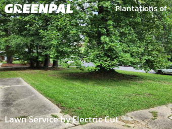 Lawn Mowing Service nearby Cary, NC, 