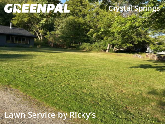 Yard Mowing nearby Grand Rapids, MI, 