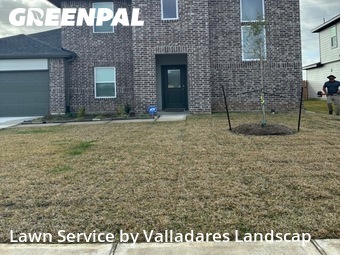 Yard Cuttingin Rosenberg,77469,Lawn Mow by Valladares Landscap, work completed in Jul , 2026