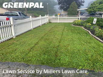 Yard Cutting nearby New Brighton, PA, 