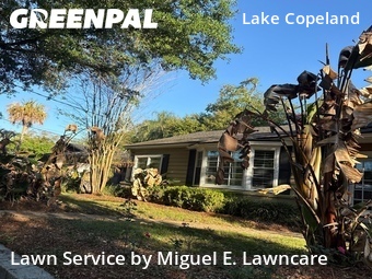 Lawn Mowing nearby Orlando, FL, 