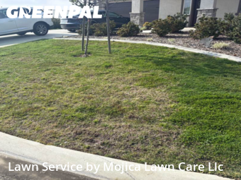 Work completed by professional-lawn-care-service-in-Roseville-CA