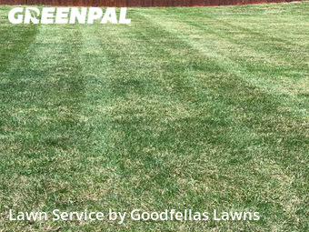 Grass Cut nearby Omaha, NE, 