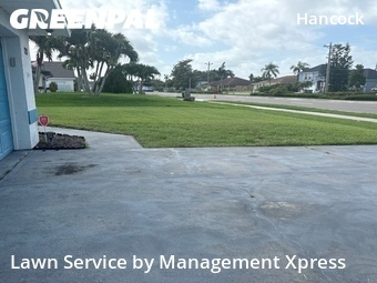 Lawn Cut nearby Cape Coral, FL, 