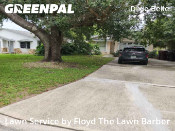 Lawn Cut nearby Orlando, FL, 