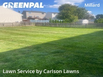 Lawn Cut nearby Omaha, NE, 