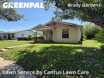 Yard Cutting nearby San Antonio, TX, 