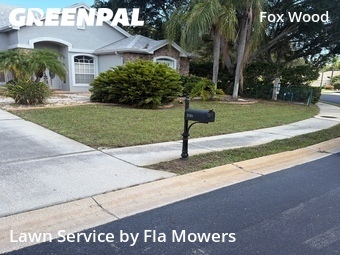 Grass Cutting nearby Trinity, FL, 