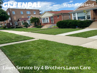 Lawn Cutting nearby Chicago, IL, 