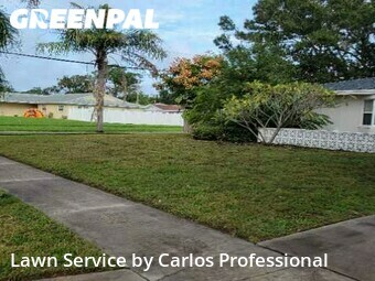 Lawn Maintenance nearby St. Petersburg, FL, 