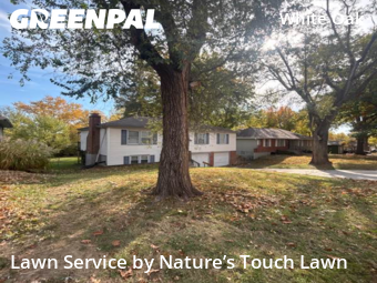 Grass Cutting nearby Raytown, MO, 