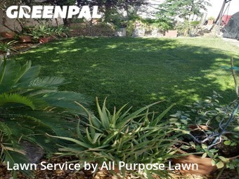 Yard Mowing nearby Las Vegas, NV, 