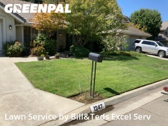 Lawn Care nearby Fresno, CA, 