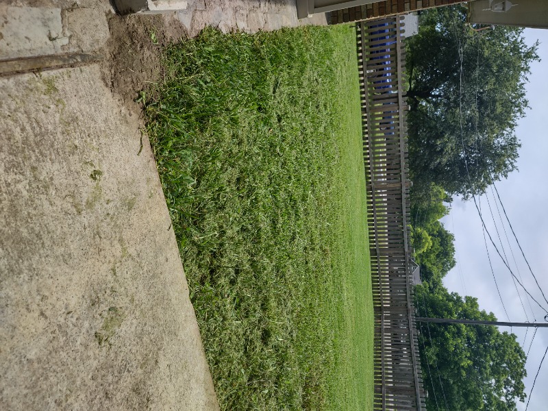 Anderson Solutions L Lawn Care Services in Texas City, TX