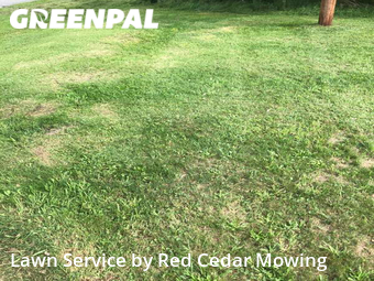 Lawn Mow nearby East Lansing, MI, 